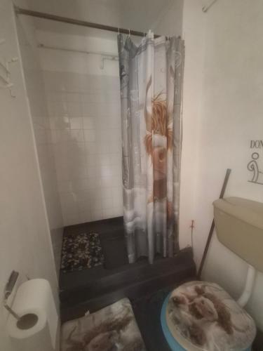 a bathroom with a shower with a picture of a woman at Park house farm caravan 2 in Richmond