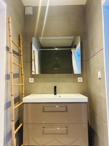 a bathroom with a sink and a mirror at Villa , Piscine Privée, Jacuzzi in Barbaggio