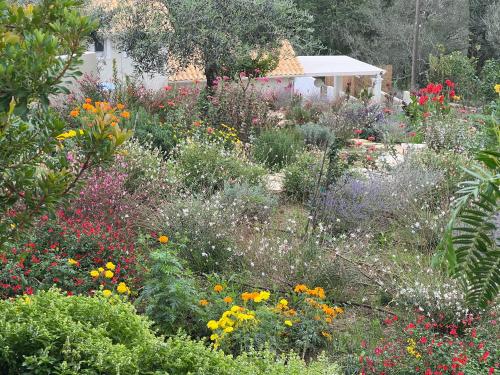 a garden filled with lots of different types of flowers at Giardinia Holiday Homes with Private Pool in Gazátika