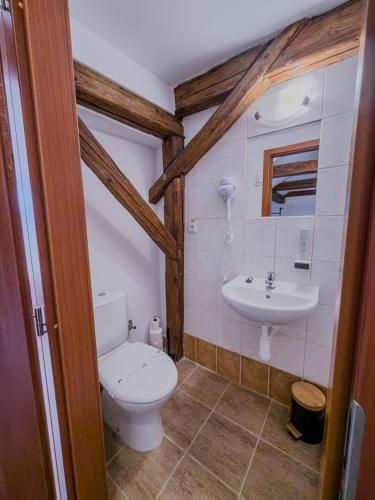 a bathroom with a toilet and a sink at Hotel Rytířsko in Jamné