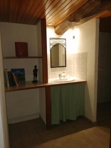 a bathroom with a sink and a mirror at La ferme des Perdilles in Biran
