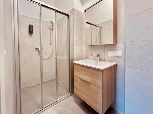 ein Badezimmer mit Dusche, Waschbecken und Spiegel in der Unterkunft SERVUS HOMES Schönbrunn I Top-Lage & Metro in Wien