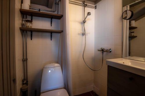 a bathroom with a toilet and a shower and a sink at Trysilfjellet Nord 1111B in Trysil