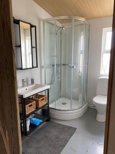 a bathroom with a shower and a sink and a toilet at Between sea and big mountains in Leirá