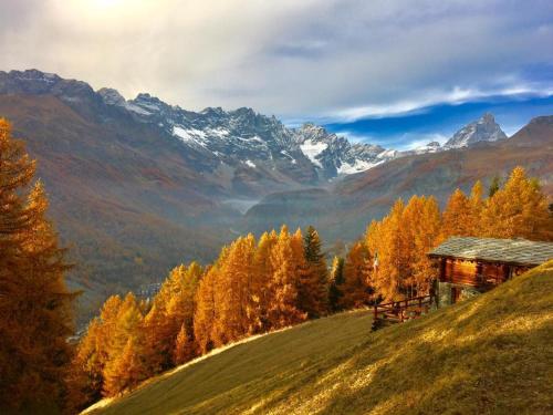 a cabin on top of a hill with trees and mountains at B&B Lepetitnid in Valtournenche