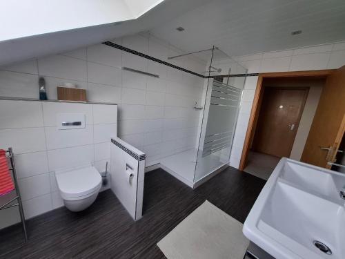 a bathroom with a toilet and a shower and a sink at Ferienwohnung Charbi in Simmern