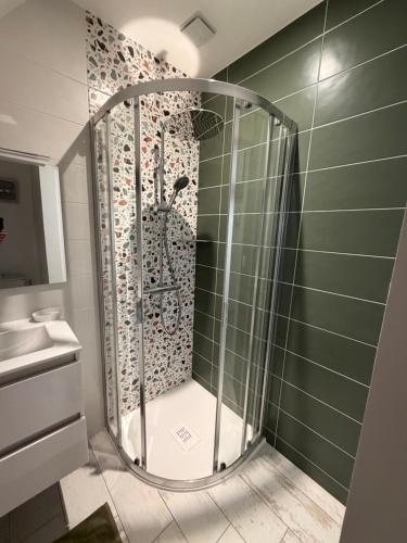 a shower in a bathroom with green walls at Gîte des Tilleuls - Nature, calme, télétravail - Animaux acceptés in Graçay