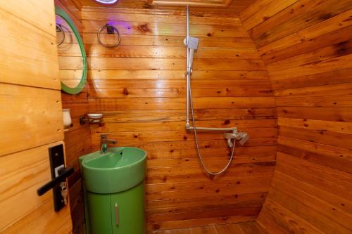 a bathroom with a green sink and a shower at Cottages Chateau Ochia in Koromkhet'i