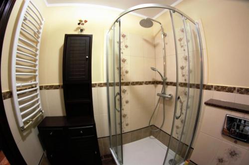 ストロニエ・シロンスキエにあるApartament Morawkaのバスルーム(ガラス張りのシャワーブース付)