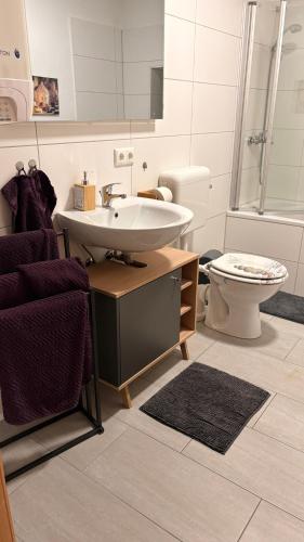 a bathroom with a sink and a toilet at Gemütliche 60m2 Wohnung mit Terasse in Künzing