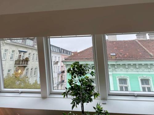 Wohnen beim Hundertwasserhaus l HG23