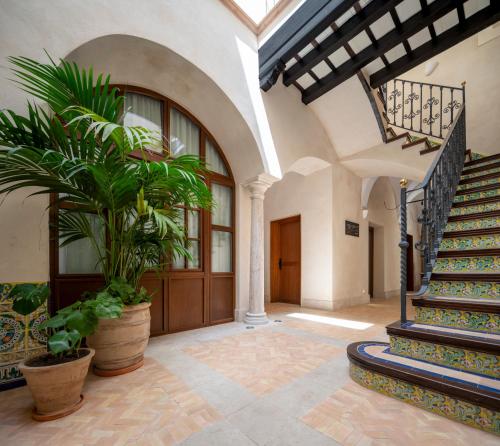 Magno Collection Palacio de Becas photo 127