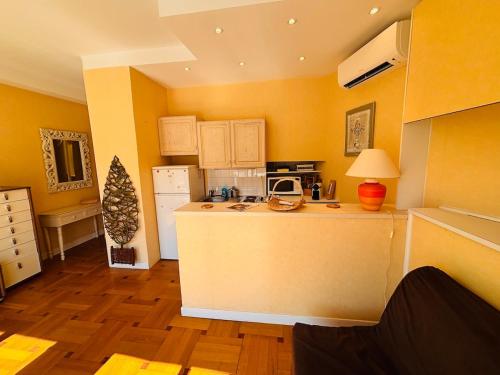 Terrace 1 bedroom - Negresco