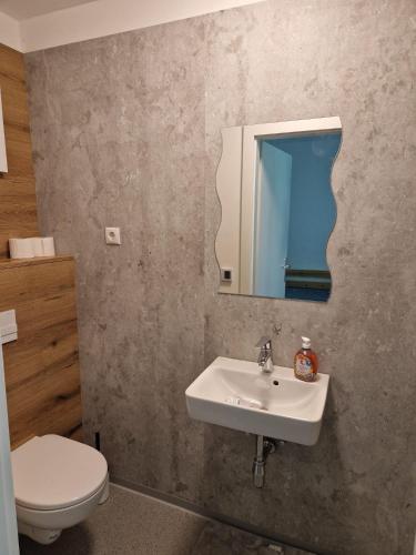 a bathroom with a sink and a toilet and a mirror at Gruppenunterkunft für Firmen & Arbeiter in Laa an der Thaya in Laa an der Thaya
