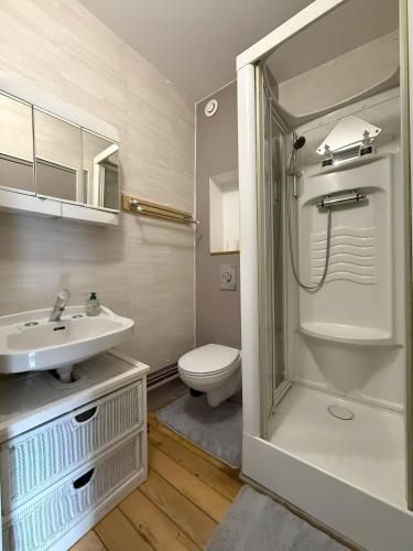 a bathroom with a toilet and a sink and a shower at Maison au cœur d’Orgelet in Orgelet