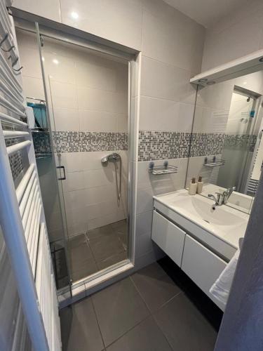a bathroom with a shower and a sink at PINKY SQUARE apartman in Zvolen
