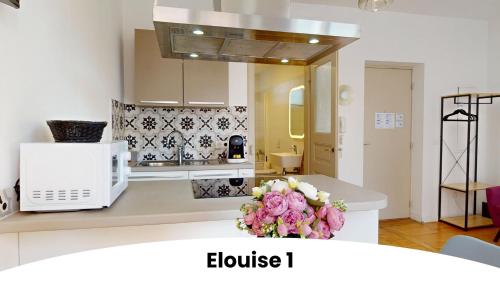 Les gîtes d'Elouise