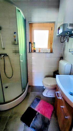 a bathroom with a shower and a toilet and a sink at Vila Vilinka & Vila Native Vilinija resort Village in Podčetrtek