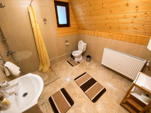 a bathroom with a toilet and a sink at Căbănuțe Izbândiș in Şuncuiuş