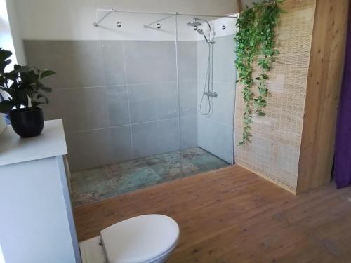 a bathroom with a shower with a toilet at Wochenend-Auszeit in Möckern