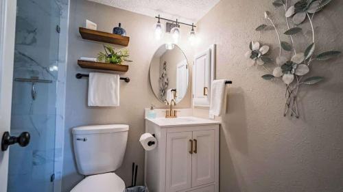 a bathroom with a toilet and a sink and a mirror at Treasure on Comal! in New Braunfels