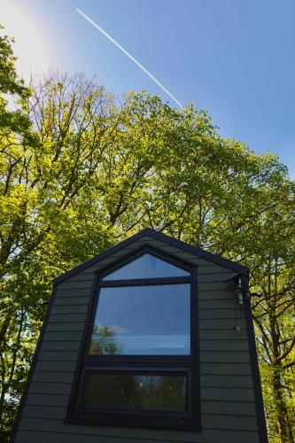 a window on top of a house with trees at Prullenbos Tiny House Nutz Nest in Wetteren