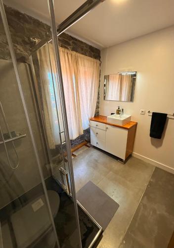 a bathroom with a shower and a sink at Casa do terno com piscina in Arco da Calheta