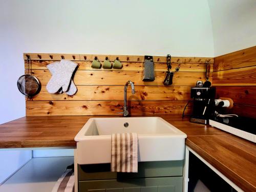a kitchen with a sink and a wooden wall at Brick House in Fürstenfeld