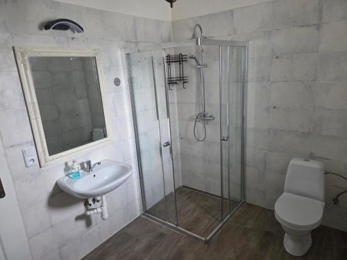 a bathroom with a shower and a sink and a toilet at White Haven Private Sauna & Pool in Chřibská
