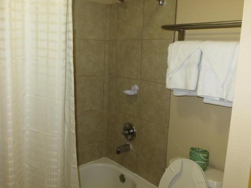 een badkamer met een douche, een toilet en een wastafel bij Astro Best Inn in Houston