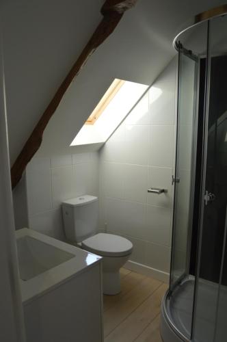 a bathroom with a toilet and a shower and a skylight at Gites du Manoir in Runan