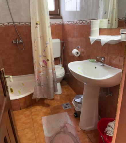 a bathroom with a sink and a toilet and a shower at Pensiunea Alexa in Durău