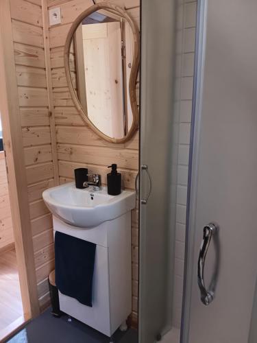 a bathroom with a sink and a mirror at La roulotte des foins in Montmaur