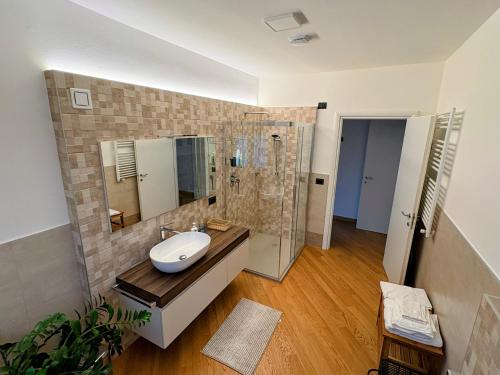 a bathroom with a sink and a shower at Alla Stella B&B in Vo Euganeo