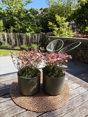 two potted plants sitting on a wooden table at Loft 88 in Eupen