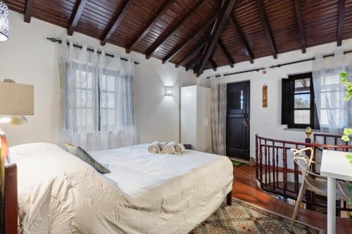 Foto Banyan Tree 4