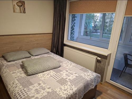 a bedroom with a bed and a window at Amber Stay Birštonas in Birštonas