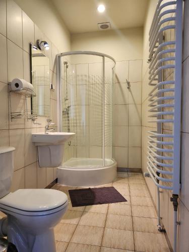 a bathroom with a toilet and a shower and a sink at Ośrodek Wypoczynkowy Niagara in Międzybrodzie Żywieckie