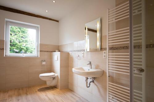 a bathroom with a sink and a toilet and a window at Ferienwohnung BEA 3 in Rabenkirchen-Faulück