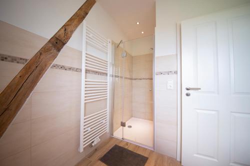 a bathroom with a walk in shower next to a door at Ferienwohnung BEA 2 in Rabenkirchen-Faulück