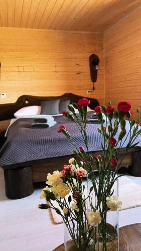 Apartament Pod Dębiną