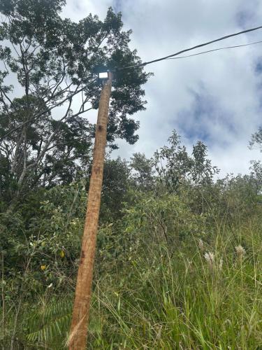 a telephone pole in the middle of a forest at Camping Cachoeira Bem Vinda in Itabirito