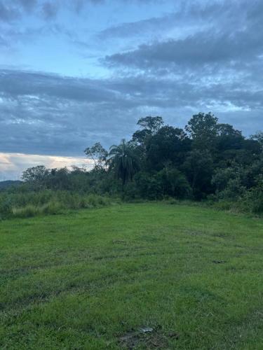 a field of grass with trees in the background at Camping Cachoeira Bem Vinda in Itabirito