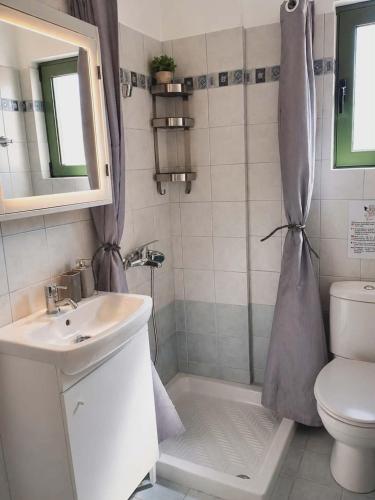 a bathroom with a sink and a toilet and a shower at Earth Apartment in Katelios
