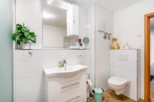 a white bathroom with a toilet and a sink at Ferienwohnung Elbufer 3a in Stadt Wehlen