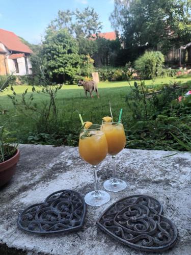 two glasses of orange juice sitting on a table at Záboří 10 in Záboří