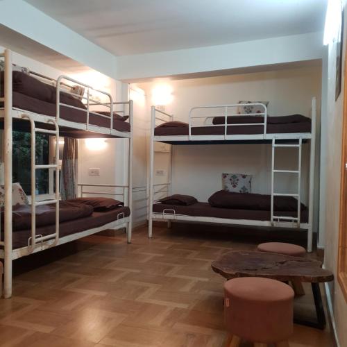 a room with three bunk beds and a table at help hostel in Mussoorie