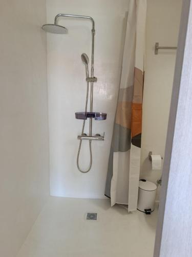 a shower with a shower head in a bathroom at Themistoklis house in Koropi