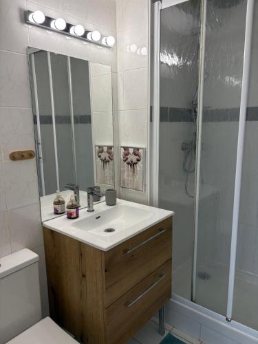 a bathroom with a sink and a shower at Au clair soleil in Frontignan