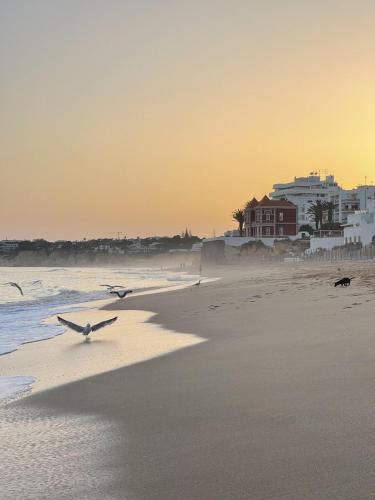 Algarve, T2 apartment w/balcony, Armação de Pera